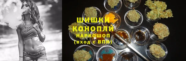 PSILOCYBIN Кукмор