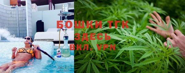 PSILOCYBIN Кукмор