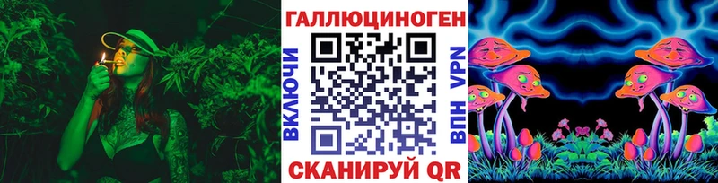 Галлюциногенные грибы Psilocybe  Харовск 